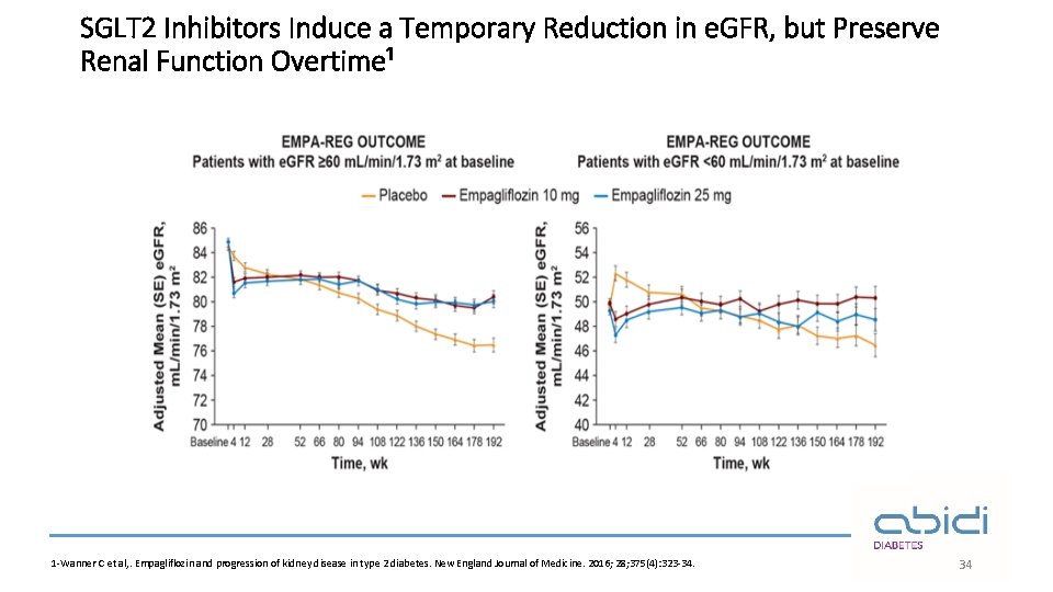 SGLT 2 Inhibitors Induce a Temporary Reduction in e. GFR, but Preserve Renal Function