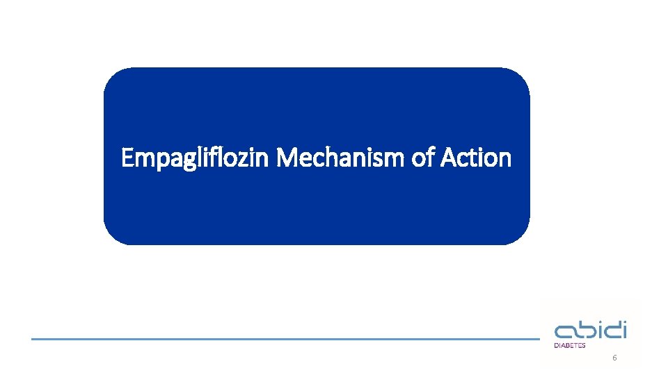 Empagliflozin Mechanism of Action 6 