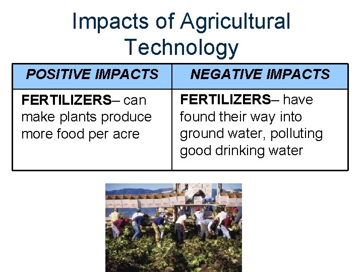 Impacts of Agricultural Technology POSITIVE IMPACTS FERTILIZERS– can make plants produce more food per