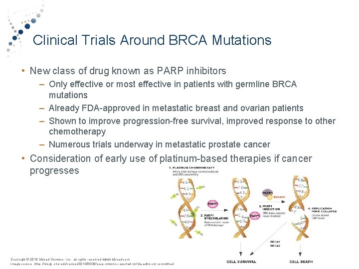 Clinical Trials Around BRCA Mutations • New class of drug known as PARP inhibitors