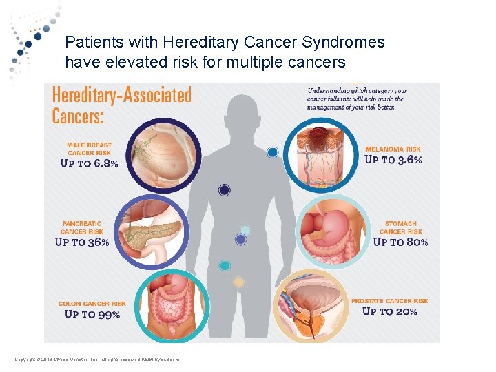 Patients with Hereditary Cancer Syndromes have elevated risk for multiple cancers Copyright © Myriad
