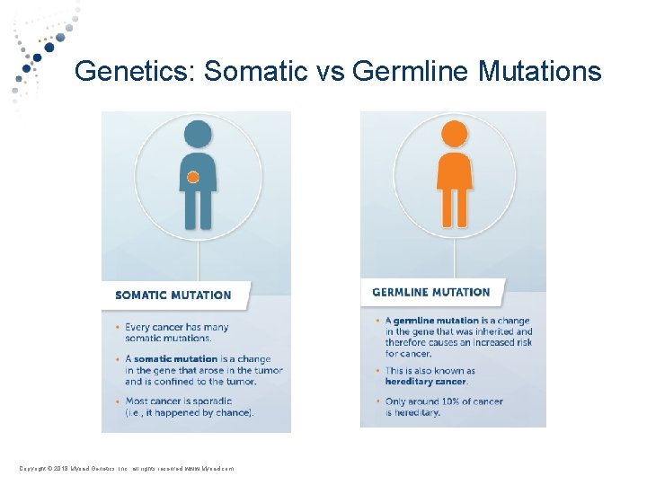 Genetics: Somatic vs Germline Mutations Copyright © Myriad 2018 Myriad Genetics, Inc. , all