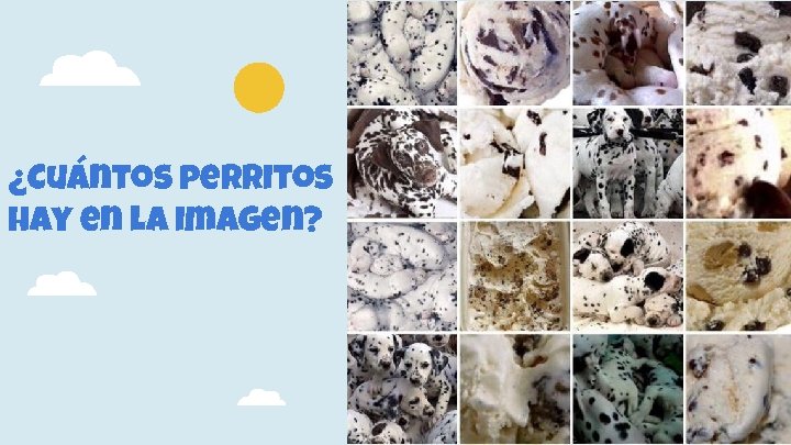 ¿Cuántos perritos hay en la imagen? 