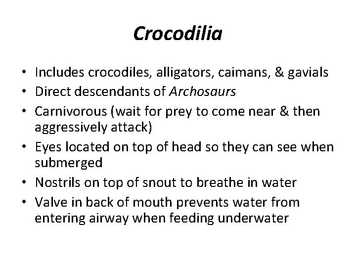 Crocodilia • Includes crocodiles, alligators, caimans, & gavials • Direct descendants of Archosaurs •