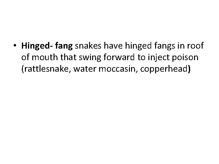  • Hinged- fang snakes have hinged fangs in roof of mouth that swing