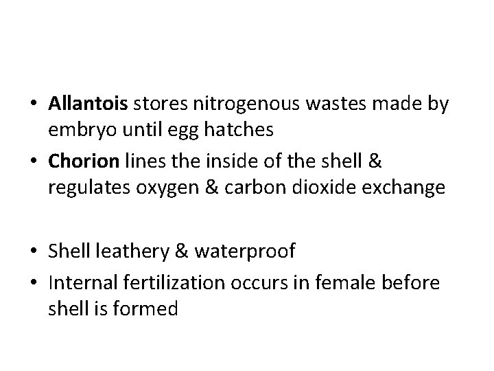  • Allantois stores nitrogenous wastes made by embryo until egg hatches • Chorion