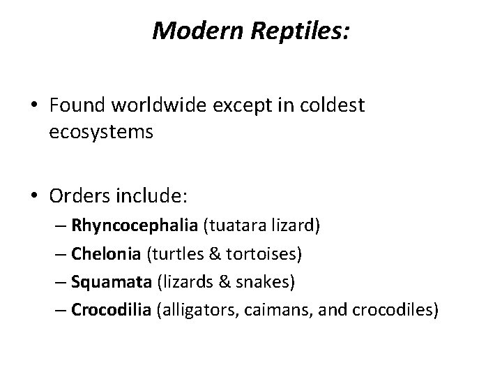 Modern Reptiles: • Found worldwide except in coldest ecosystems • Orders include: – Rhyncocephalia