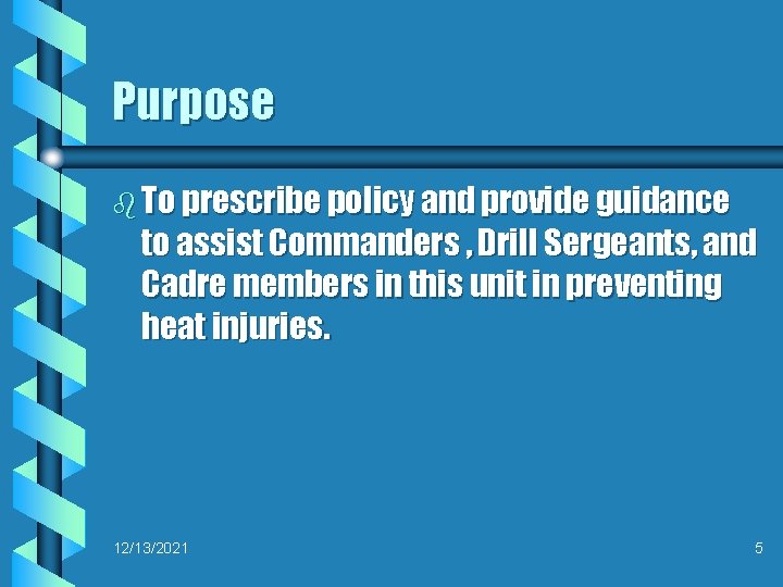 Purpose b To prescribe policy and provide guidance to assist Commanders , Drill Sergeants,