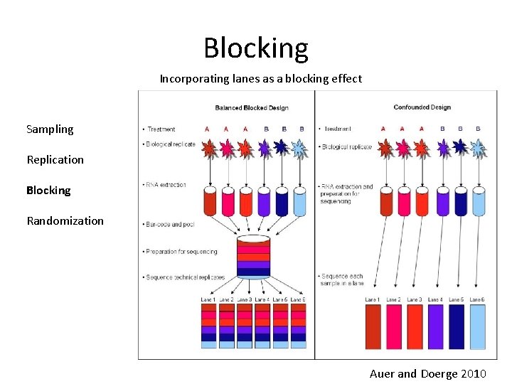 Blocking Incorporating lanes as a blocking effect Sampling Replication Blocking Randomization Auer and Doerge