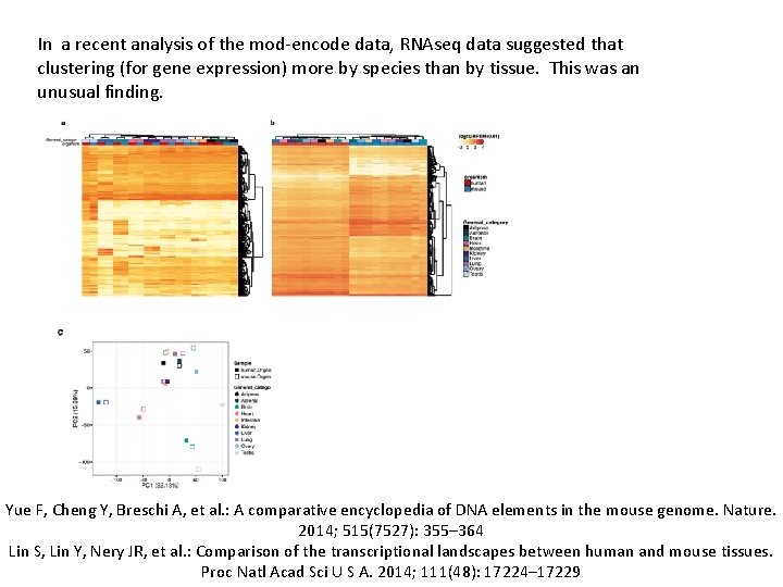In a recent analysis of the mod-encode data, RNAseq data suggested that clustering (for