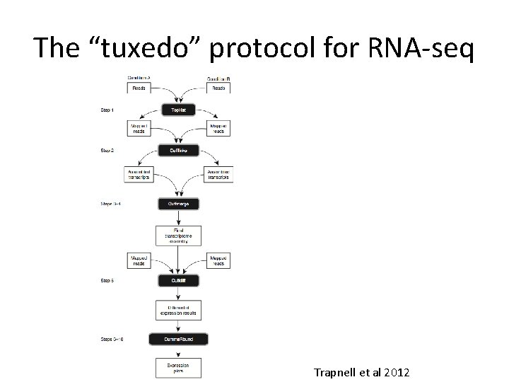 The “tuxedo” protocol for RNA-seq Trapnell et al 2012 