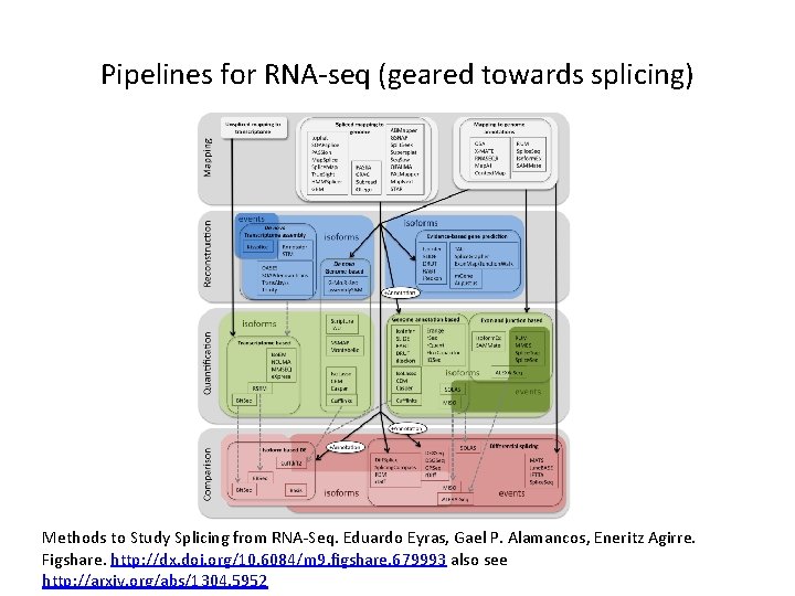 Pipelines for RNA-seq (geared towards splicing) Methods to Study Splicing from RNA-Seq. Eduardo Eyras,
