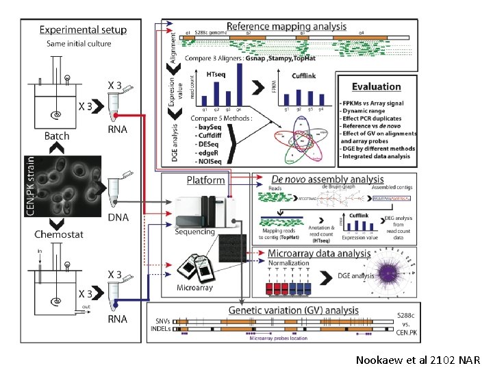 Nookaew et al 2102 NAR 