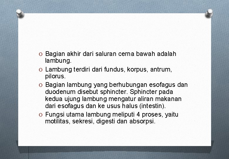 O Bagian akhir dari saluran cerna bawah adalah lambung. O Lambung terdiri dari fundus, O Bagian akhir dari saluran cerna bawah adalah lambung. O Lambung terdiri dari fundus,