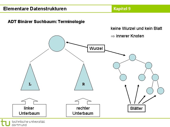 Kapitel 9 Elementare Datenstrukturen ADT Binärer Suchbaum: Terminologie keine Wurzel und kein Blatt innerer