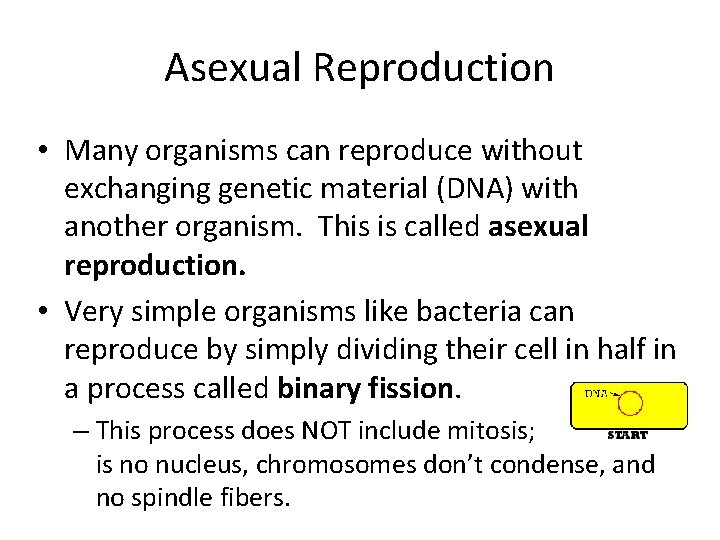 Asexual Reproduction • Many organisms can reproduce without exchanging genetic material (DNA) with another