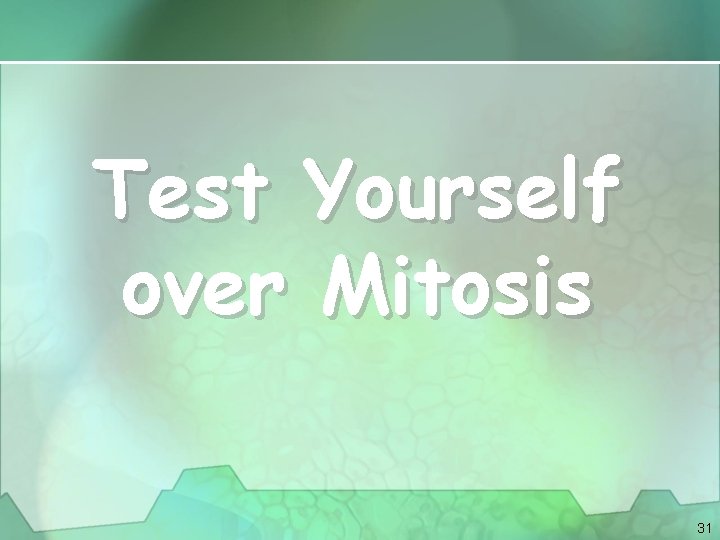 Test Yourself over Mitosis 31 