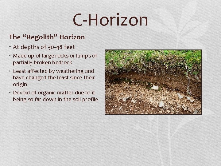 C-Horizon The “Regolith” Horizon • At depths of 30 -48 feet • Made up