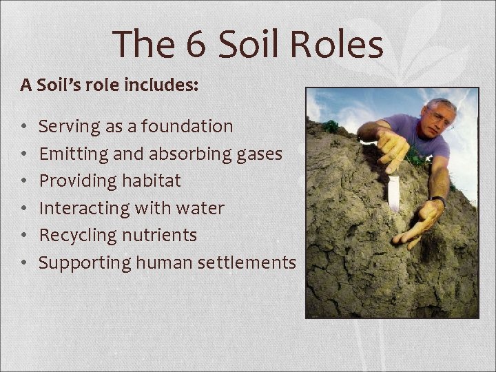 The 6 Soil Roles A Soil’s role includes: • • • Serving as a