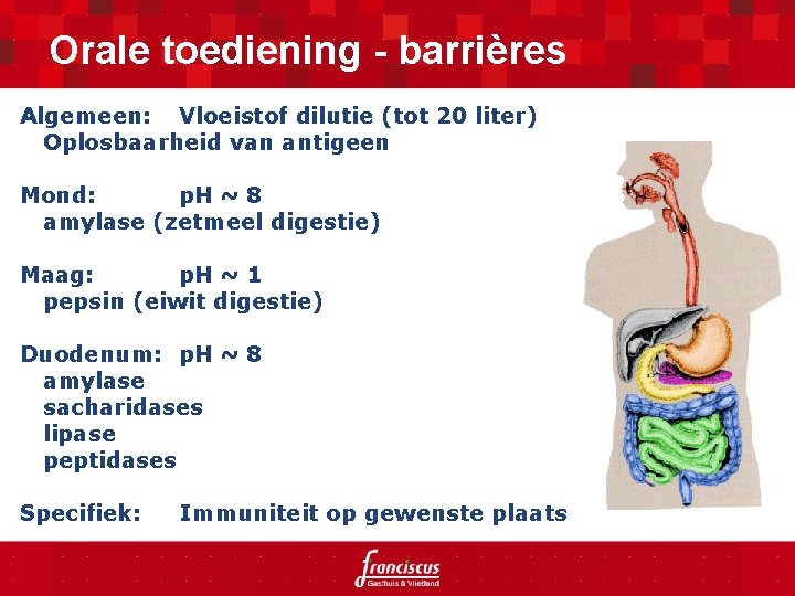 Orale toediening - barrières Algemeen: Vloeistof dilutie (tot 20 liter) Oplosbaarheid van antigeen Mond: