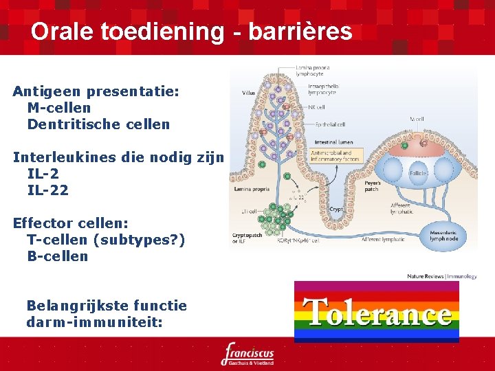 Orale toediening - barrières Antigeen presentatie: M-cellen Dentritische cellen Interleukines die nodig zijn IL-22