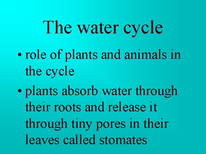 The water cycle • role of plants and animals in the cycle • plants The water cycle • role of plants and animals in the cycle • plants
