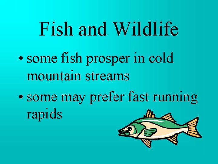 Fish and Wildlife • some fish prosper in cold mountain streams • some may Fish and Wildlife • some fish prosper in cold mountain streams • some may