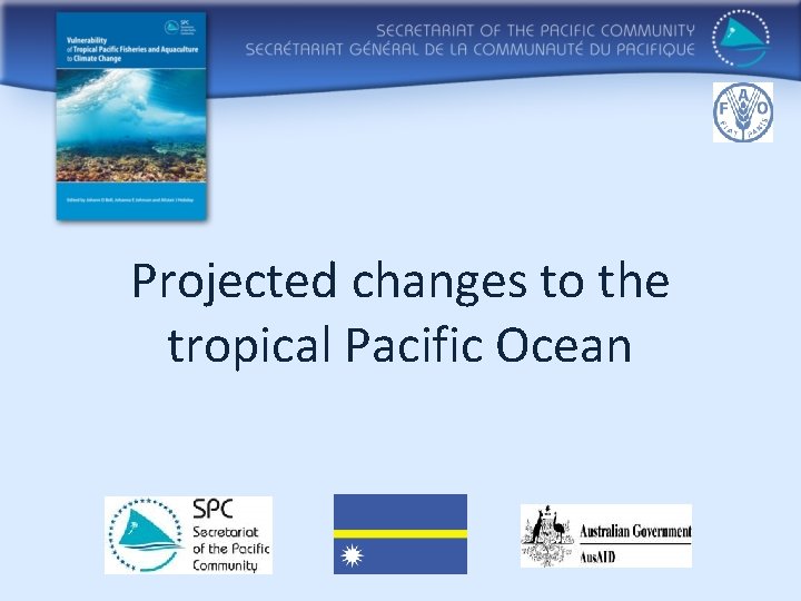 Projected changes to the tropical Pacific Ocean 