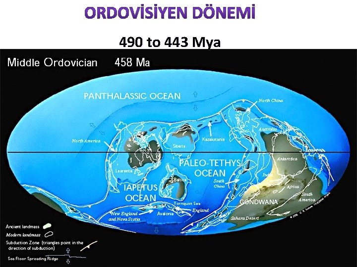 490 to 443 Mya 