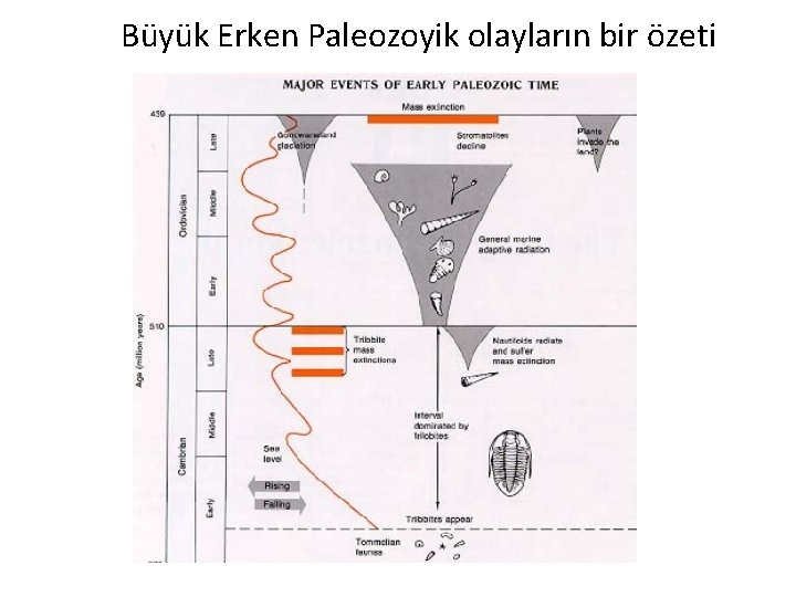 Büyük Erken Paleozoyik olayların bir özeti 