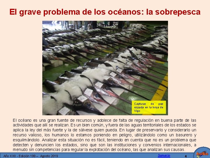 El grave problema de los océanos: la sobrepesca Capturas de pez espada en la