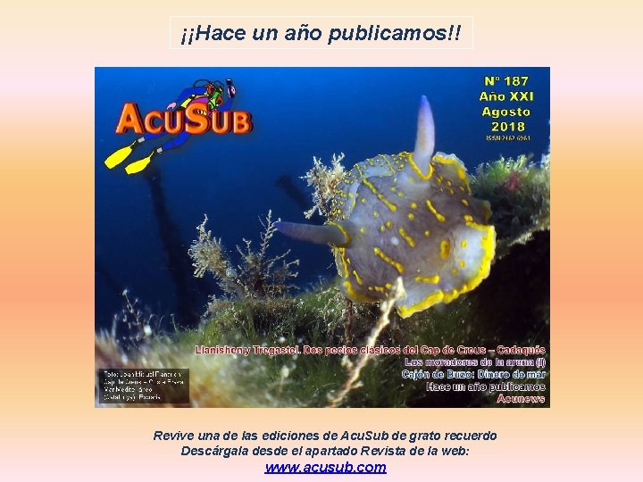 ¡¡Hace un año publicamos!! Revive una de las ediciones de Acu. Sub de grato