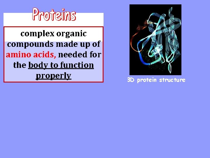 complex organic compounds made up of amino acids, needed for the body to function