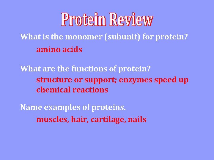 What is the monomer (subunit) for protein? amino acids What are the functions of