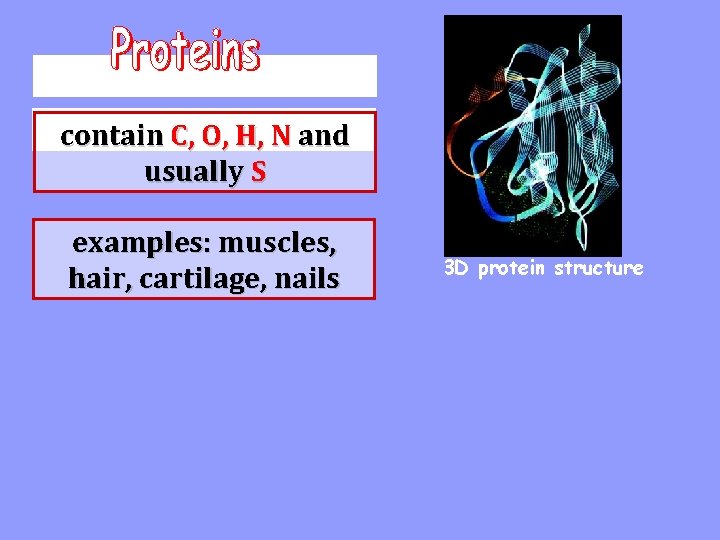 contain C, O, H, N and usually S examples: muscles, hair, cartilage, nails 3