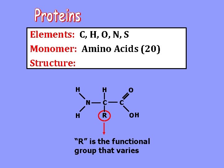 Elements: C, H, O, N, S Monomer: Amino Acids (20) Structure: H H N