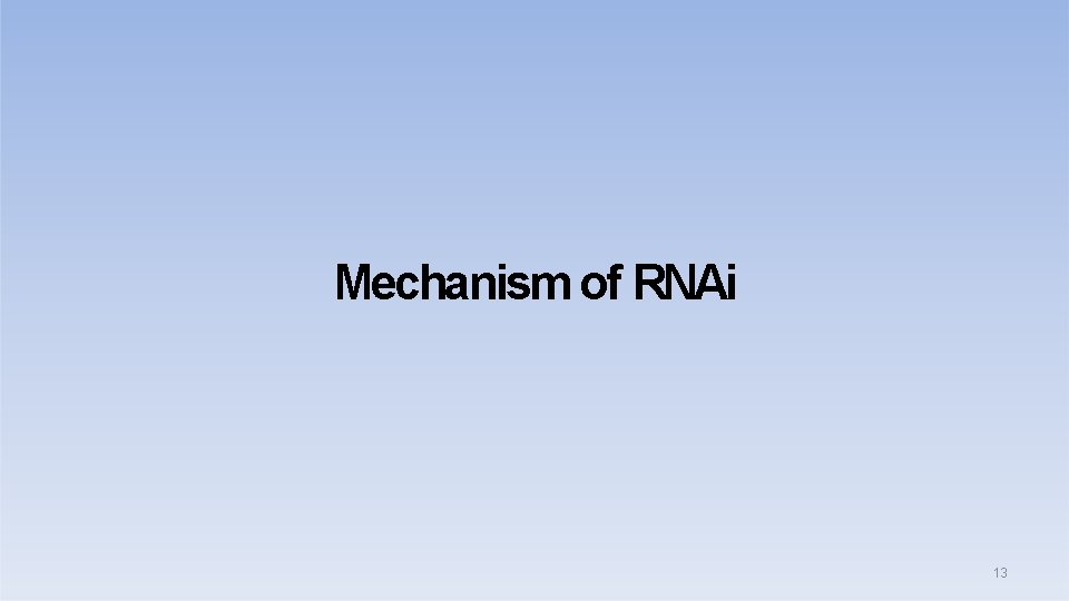 Mechanism of RNAi 13 