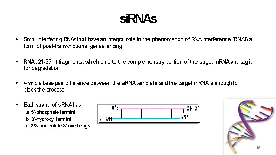 si. RNAs • Small interfering RNAs that have an integral role in the phenomenon