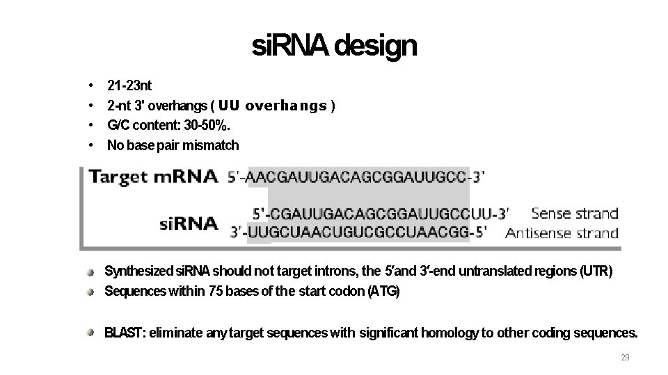 si. RNA design • • 21 -23 nt 2 -nt 3' overhangs ( UU