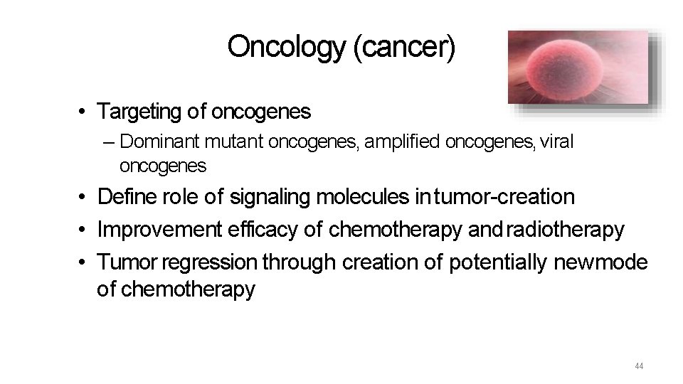 Oncology (cancer) • Targeting of oncogenes – Dominant mutant oncogenes, amplified oncogenes, viral oncogenes