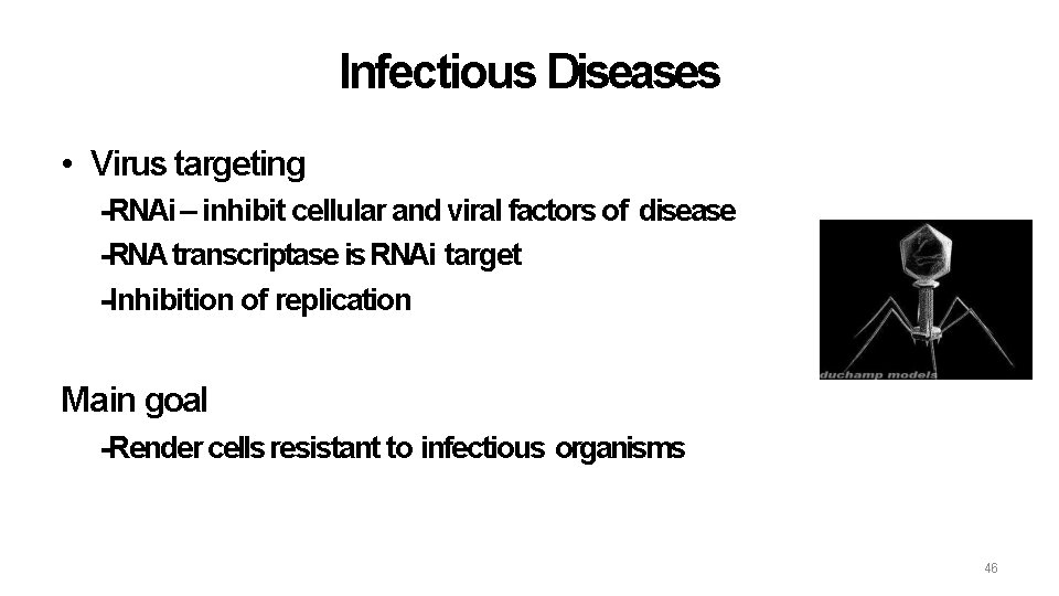 Infectious Diseases • Virus targeting -RNAi – inhibit cellular and viral factors of disease