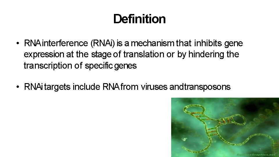 Definition • RNA interference (RNAi) is a mechanism that inhibits gene expression at the