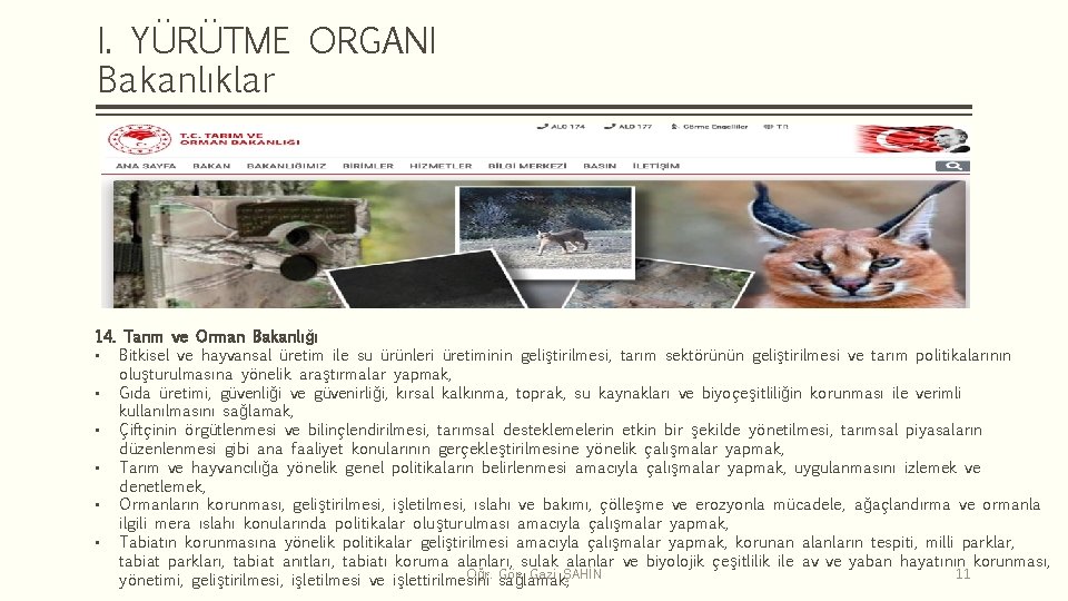 I. YÜRÜTME ORGANI Bakanlıklar 14. Tarım ve Orman Bakanlığı • Bitkisel ve hayvansal üretim