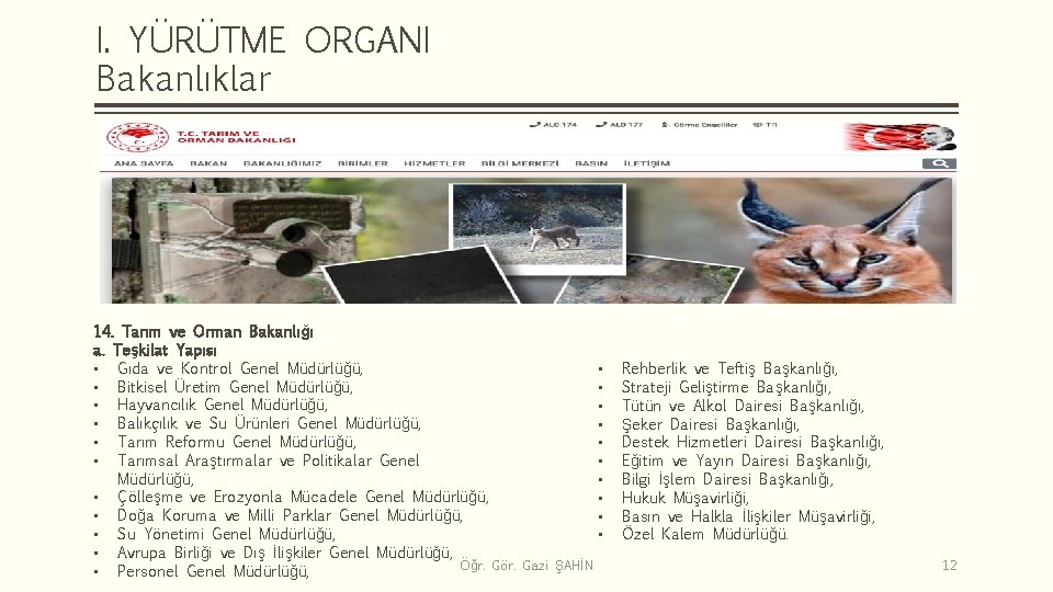 I. YÜRÜTME ORGANI Bakanlıklar 14. Tarım ve Orman Bakanlığı a. Teşkilat Yapısı • Gıda