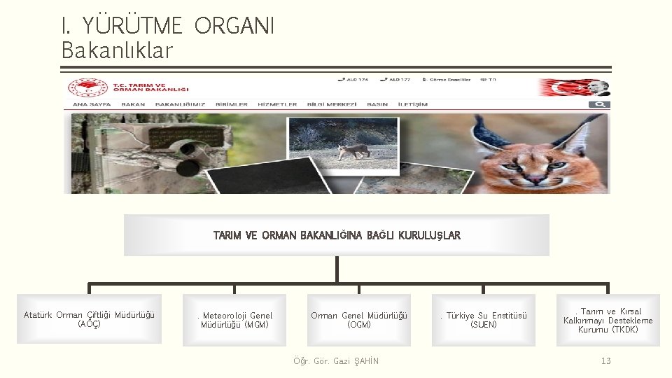 I. YÜRÜTME ORGANI Bakanlıklar TARIM VE ORMAN BAKANLIĞINA BAĞLI KURULUŞLAR Atatürk Orman Çiftliği Müdürlüğü
