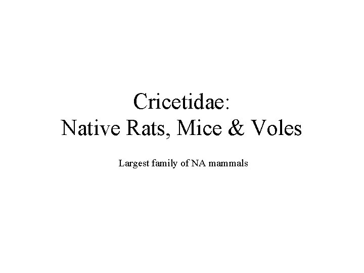 Cricetidae: Native Rats, Mice & Voles Largest family of NA mammals 