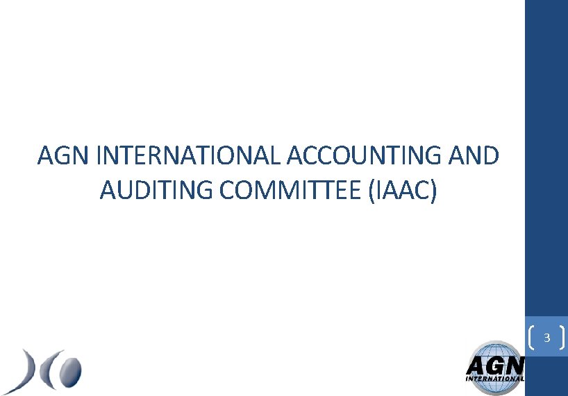 AGN INTERNATIONAL ACCOUNTING AND AUDITING COMMITTEE (IAAC) 3 