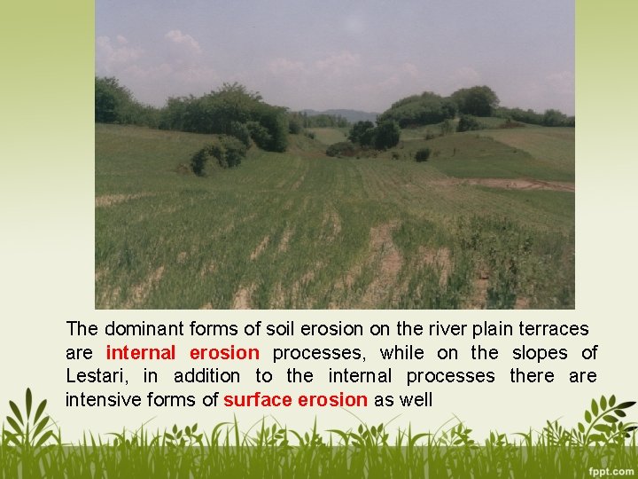 The dominant forms of soil erosion on the river plain terraces are internal erosion