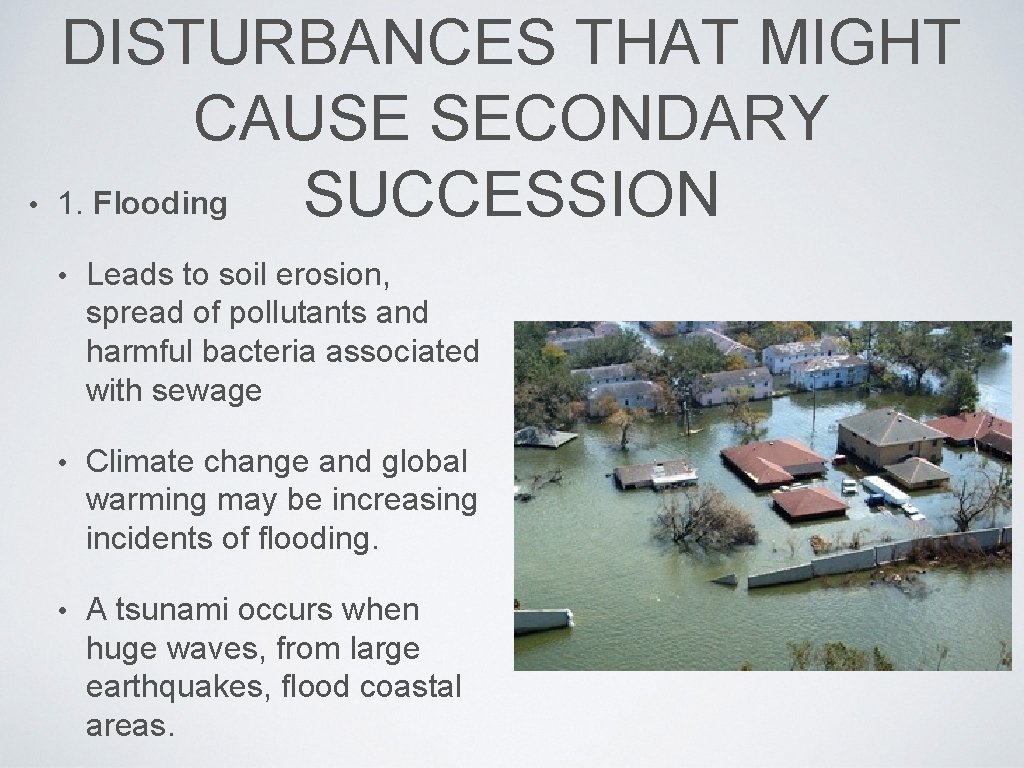  • DISTURBANCES THAT MIGHT CAUSE SECONDARY 1. Flooding SUCCESSION • Leads to soil