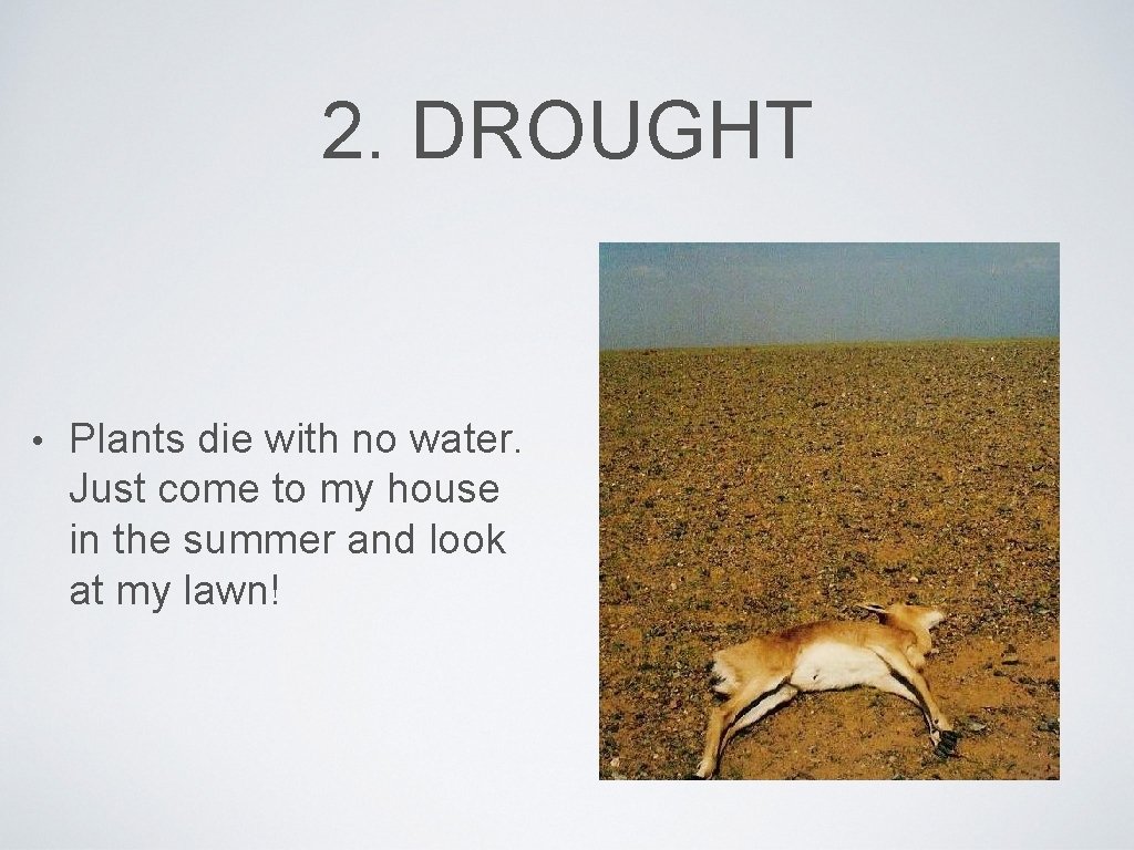 2. DROUGHT • Plants die with no water. Just come to my house in